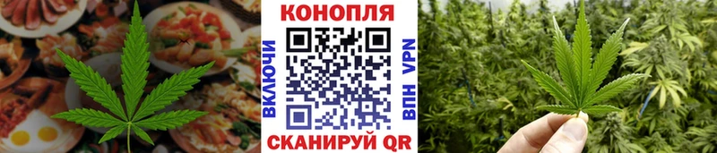 Купить закладки  Шахунья  Печенье с ТГК марихуана 