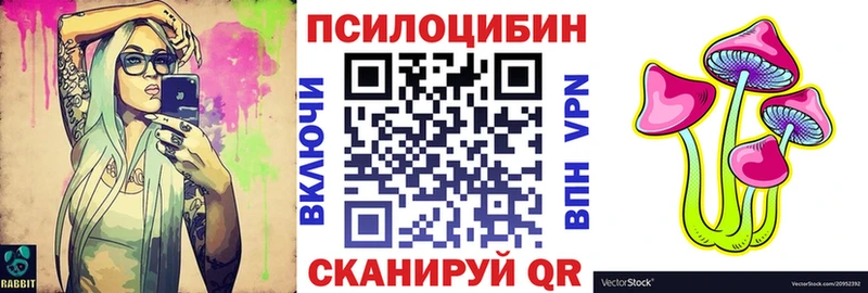 Купить закладки  Шахунья  Галлюциногенные грибы Magic Shrooms 