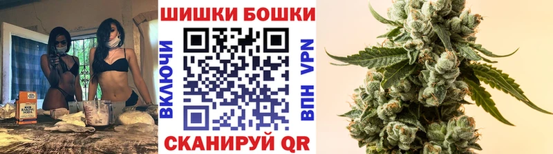 Купить закладки  Шахунья  МАРИХУАНА SATIVA & INDICA 